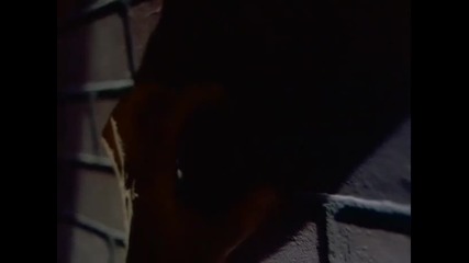 x -files 103 - Squeeze