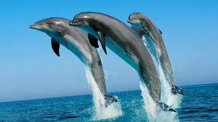 Moments of joy