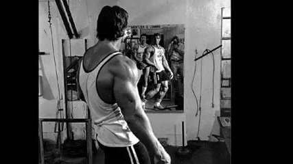 Arnold Schwarzenegger biceps