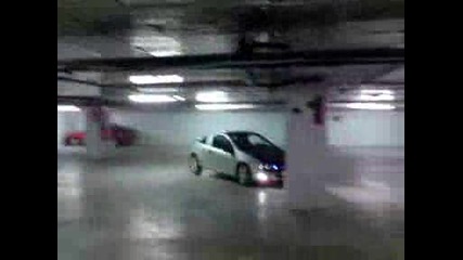 Tigra Sachove V Parkinga Na Mall Varna