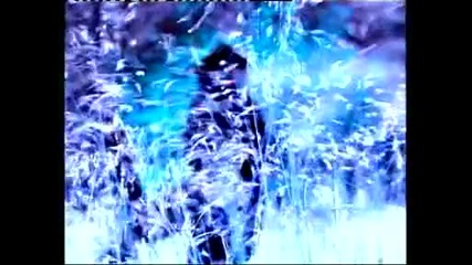 Ирина Флорин - Вятърът спи