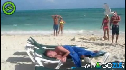 Плажуващ непокист нападнат от глароси