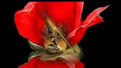 Andre Rieu -the Red Rose Cafe