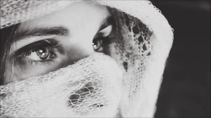 Saltillo - Forced Vision