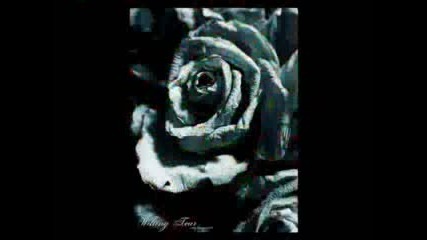 Roses Movie - Цветя И Рози
