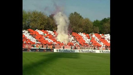 Cska Sofia And Ours Brothers Partizan, Stea