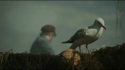 Fall Out Boy - What a catch donnie 