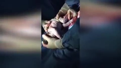 Бебе, родено в амниотична торбичка, поема първия си дъх