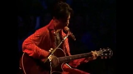 Prince Live - Musicology