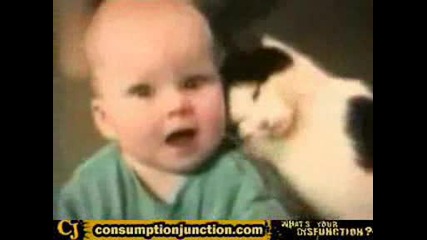 Eдни От Най - Смешните Котки!!