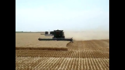 Five Combines Working in Scott City Kansas July 2008