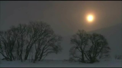Omar Akram - Whispers in the Moonlight