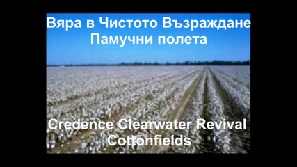 *превод* Creedence Clearwater Revival - Cotton Fields
