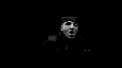 80 Vibes - Vandals