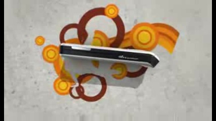 Sony Ericsson - W580