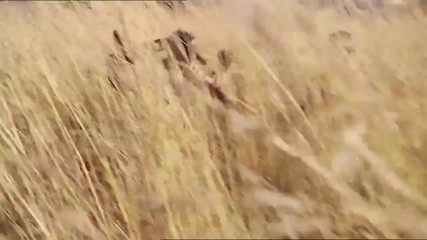 New Pepsi Ad World Cup 2010 Oh Africa - Akon Messi Henry Kaka Lampard Arshavin Drogba Hd
