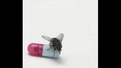 Red Hot Chili Peppers - Police Station