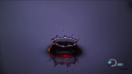 Emotional Music Motion Touch - Full Bloom with Drop of Water
