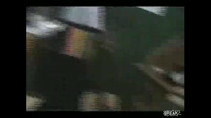 Непохватна Котка Много Смях