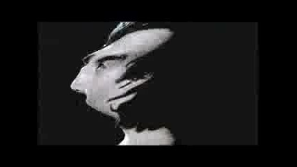 Goose - British Mode