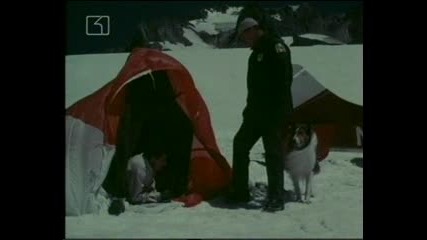 Lassie Е10