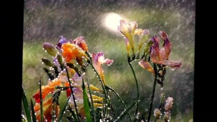 World Fusion Spanish Guitar Music - Black Rain