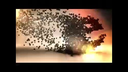 Motion-emotion