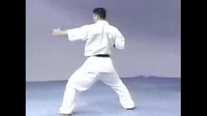 Pinan sono Go Kyokushin kata