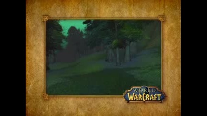 World of Wacraft Video
