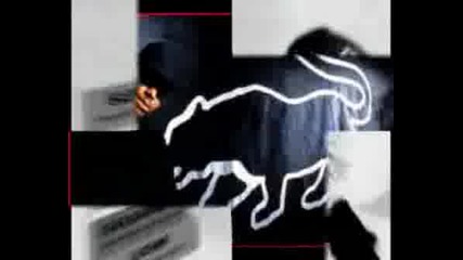 Paris - Make Way For A Panther