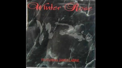 Winter Rose - My time 