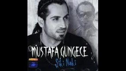 Mustafa Gungece Seviyoum