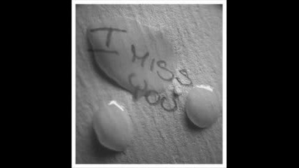 Lov