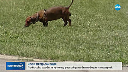 Депутати от ГЕРБ предлагат вдигане на глобите за кучета без намордник