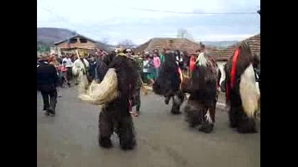 kukerov den v sredec 2010g 