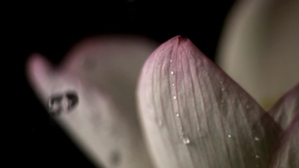 Qwan - Rainy Days