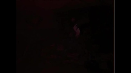 Tom and Jerry - Life With Tom 