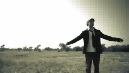 The Mainstream - Birds