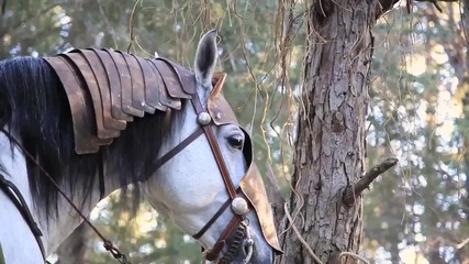 The Lord of the Rings Online Riders of Rohan - Bts Video
