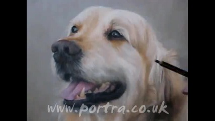 Бързо Рисуване - Куче в пастелни цветове - Голдън Ретривър