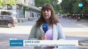 Паднали дървета и счупени стълбове: Мощна буря връхлетя Лом