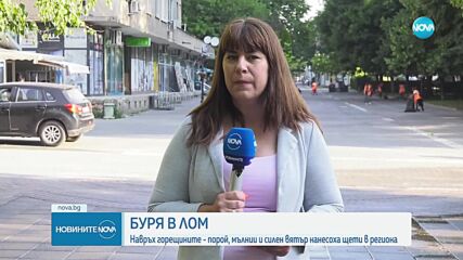 Паднали дървета и счупени стълбове: Мощна буря връхлетя Лом
