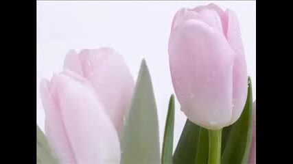Enya - Watermmark