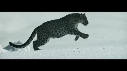 unofficial video by Ashvill // Zeni - Smile