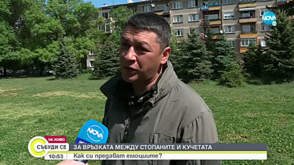 Кучетата изпитват стрес като стопаните си
