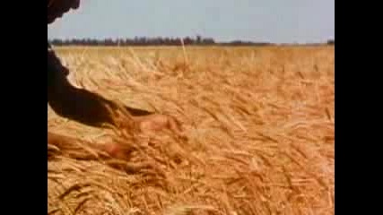 Древна Месопотамия