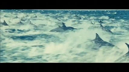 Oceans Official Trailer
