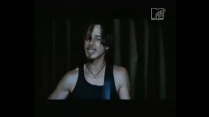Chris Cornell - Cant Change Me Music Video