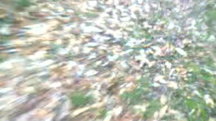 Park Gorevlisi Parkida Korumakta 2017 Hd