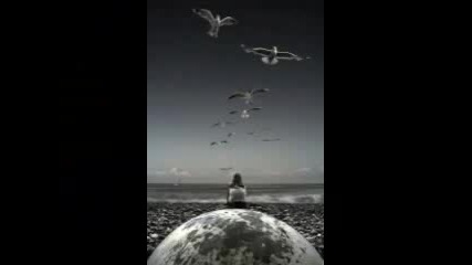 Enigma - Between mind and heart